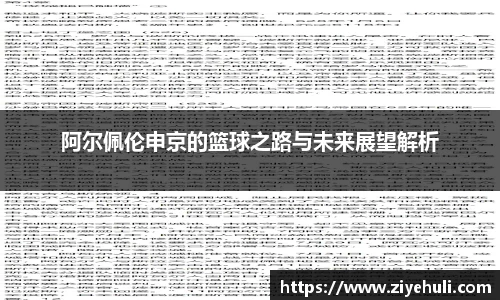 阿尔佩伦申京的篮球之路与未来展望解析